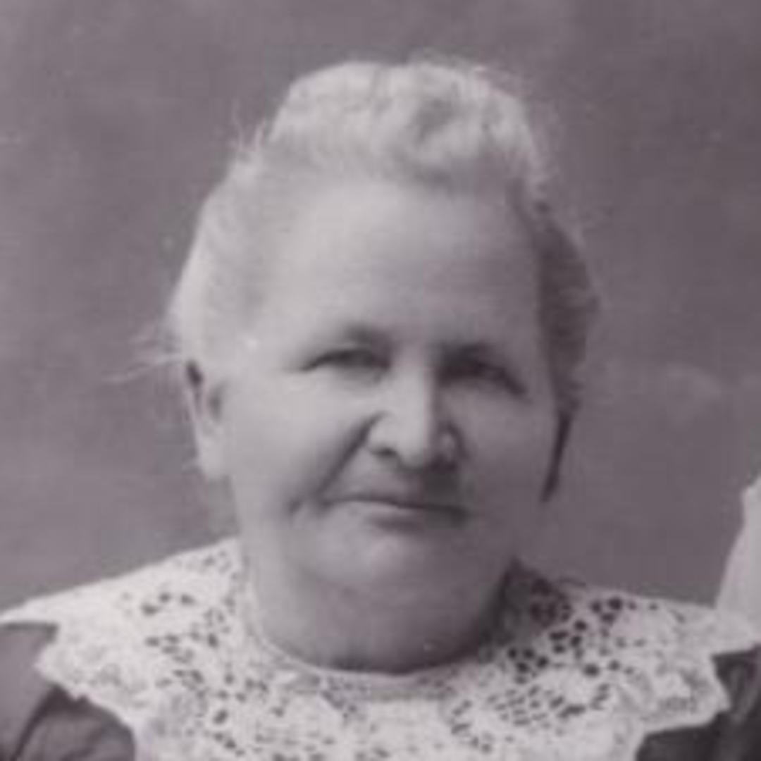 Emeline Jane Hutchings (1849 - 1918) Profile